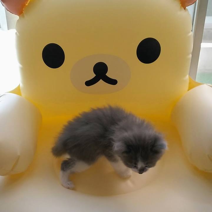 Cdf024ec fd4d 413d 9c21 ec9f9d8b4b9e 1558503642976