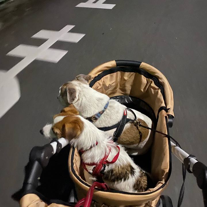 Cdf02fdc 5b4e 456b a97d 6cfdbc35bbd4 1626176495754