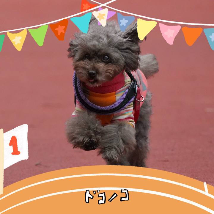 Cdf02fe7 a9e7 4399 a184 0c72eb636dcc 1761959037659