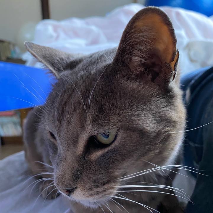 Cdf06b9e 02fa 4df0 b197 93daa916f4fc 1624543418583