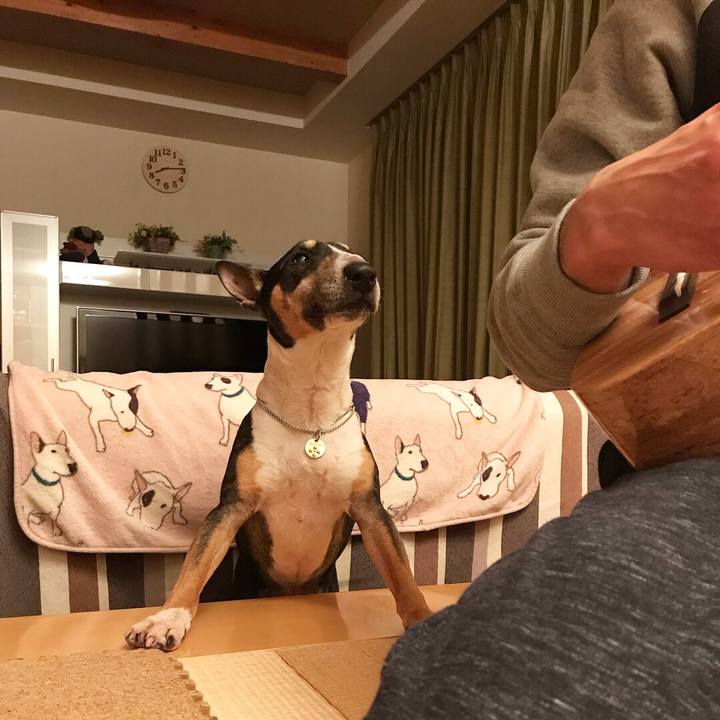 Cdf07e07 4e5d 4b1b ae26 6dce69face9f 1516620635283