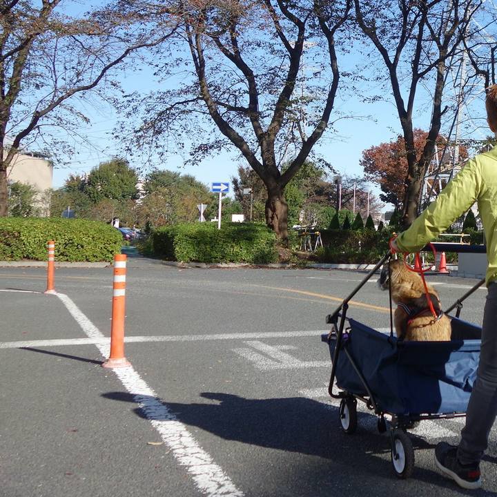 Cdf0c7be 573e 43d4 b889 858b594b8aac 1573865330801