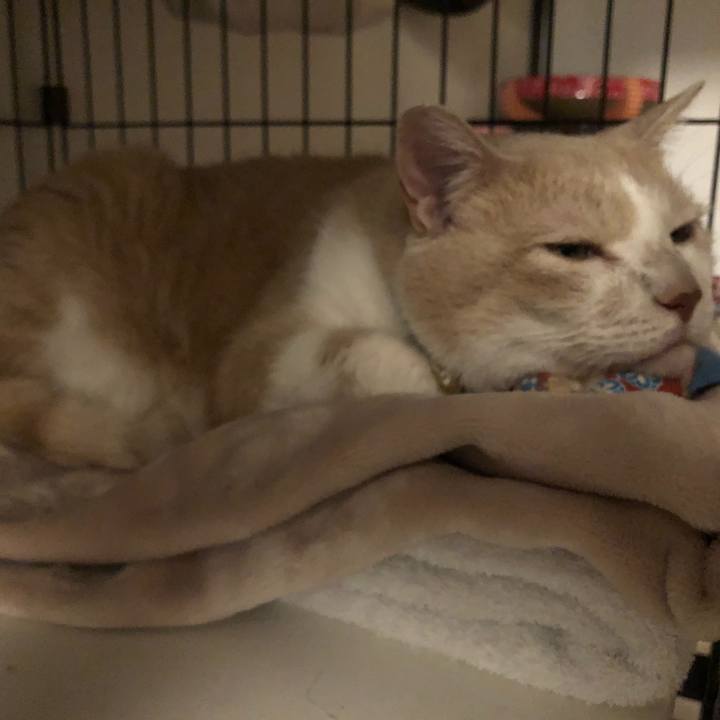 Cdf1046d e23a 4fe7 be0e a4d8999be8ec 1571628786396