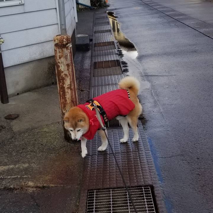 Cdf11af3 57ab 482d 8502 3e31b7bde3b6 1704365431941