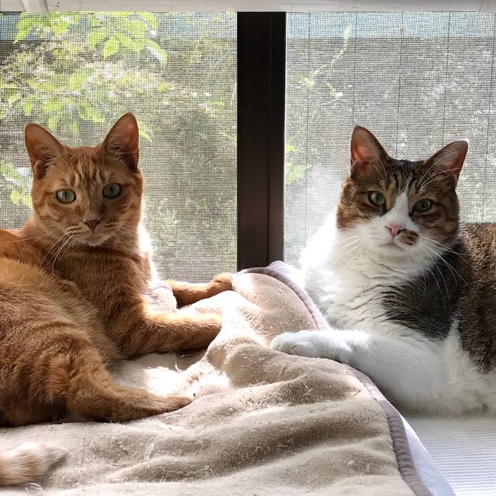 Cdf134a9 7732 42e3 8968 7d9ef3eb5143 1602052667234