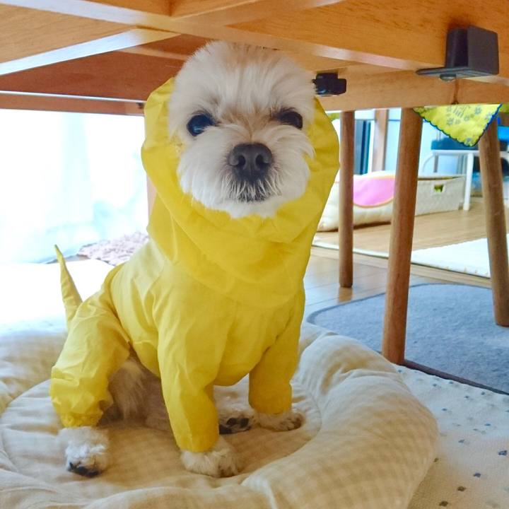 Cdf16edf a1b7 412a 90ad 921910513b7f 1560165206908