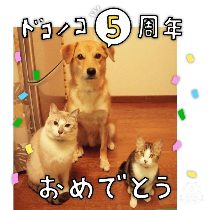 Cdf17f87 3549 47b3 b4dc d07a8f6e21e4 1622882628629