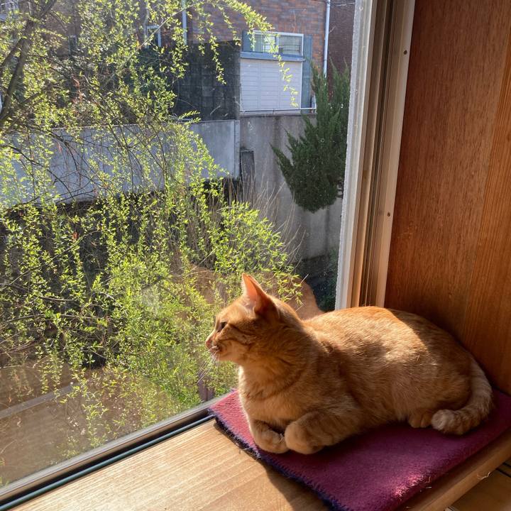 Cdf1c80c 2c3b 456f 8bd8 558c7797b605 1648079254303