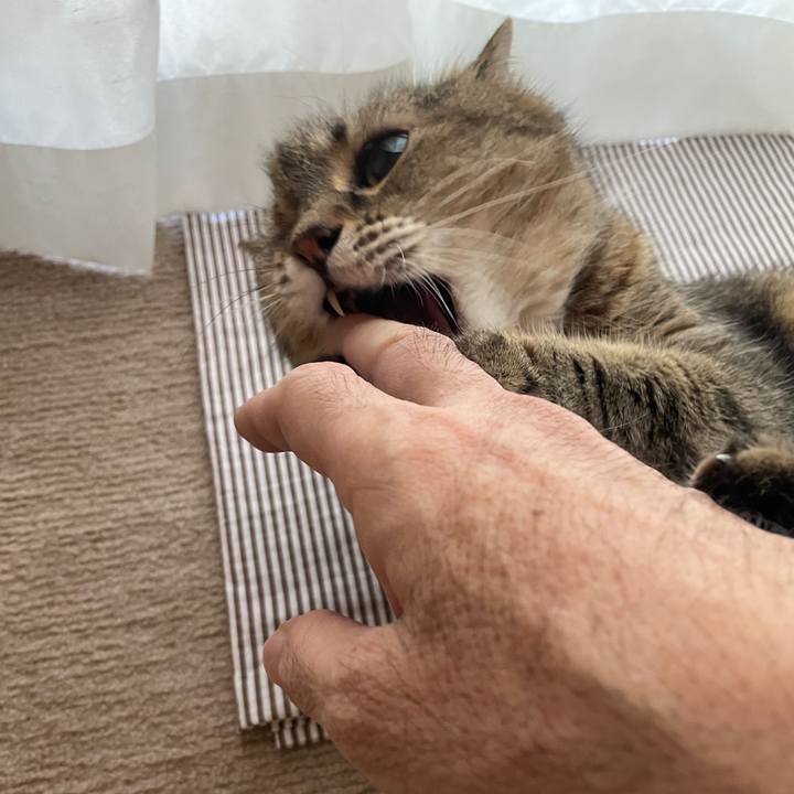 Cdf24892 c5d6 4104 8df8 3fdad2125a4d 1716504000114