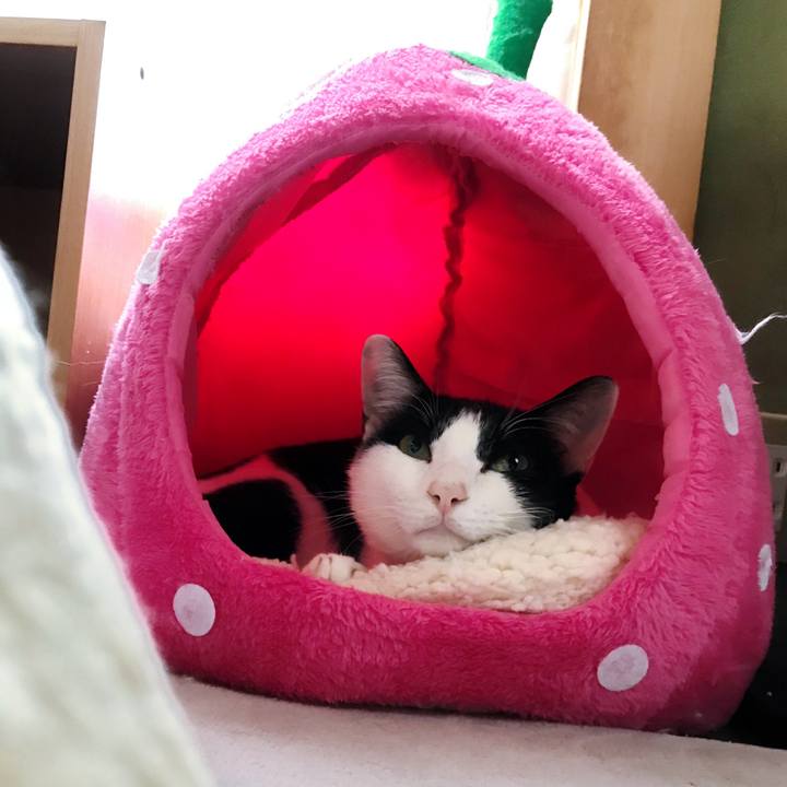 Cdf256d0 1ddf 472c 9a1c 6cc215a40dd3 1508807917178