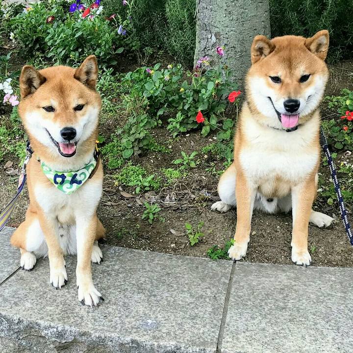 Cdf26a3d 6572 47ca a6e8 bab346a172a2 1561611122321