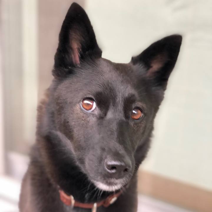 Cdf29c0d 2cf8 4f11 8108 a909f43b520c 1574381459184