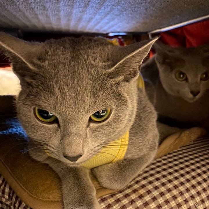 Cdf2b437 b79b 4d96 93f8 77b38d04cfea 1608682510905