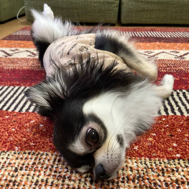 Cdf2ec47 27bf 45f5 828a da1cf29b462f 1678639815532