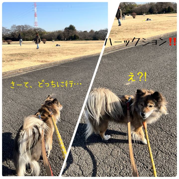 Cdf34d3a 0b32 4b06 83b1 34390d5d60c4 1739627204230