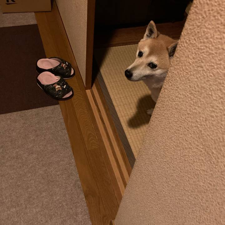 Cdf354b2 bbe7 465a 9167 1b22b59a9131 1616070639207