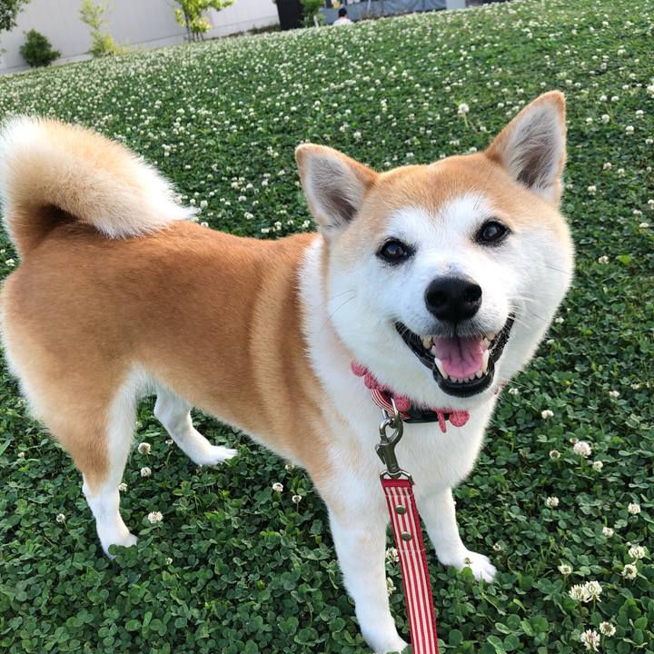 Cdf368e9 0661 4cb1 a4c5 97cf1a318af1 1623885587448