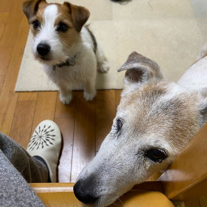 Cdf3809c a9d6 44e2 aa52 30e5880accd0 1708817951917