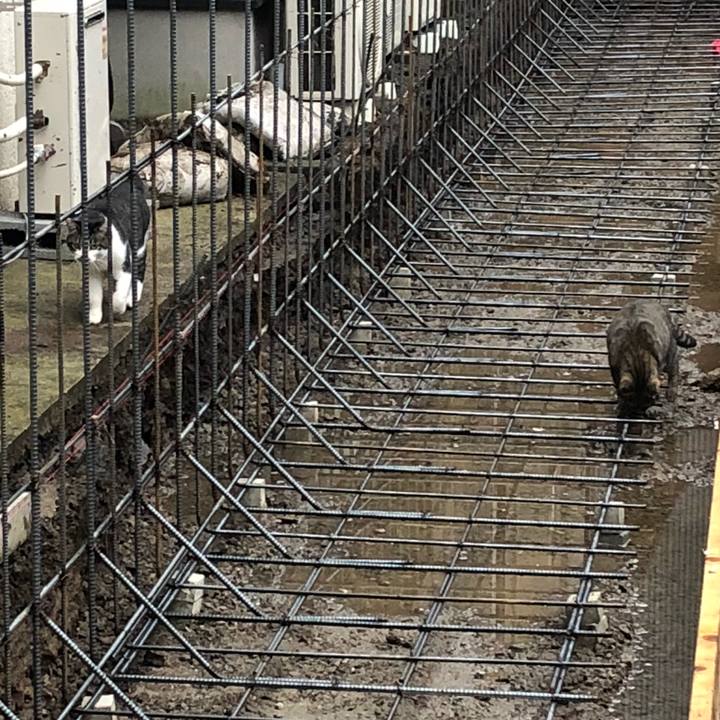 Cdf3aa76 0728 45e9 9814 967e8f0b2dbb 1538814786948