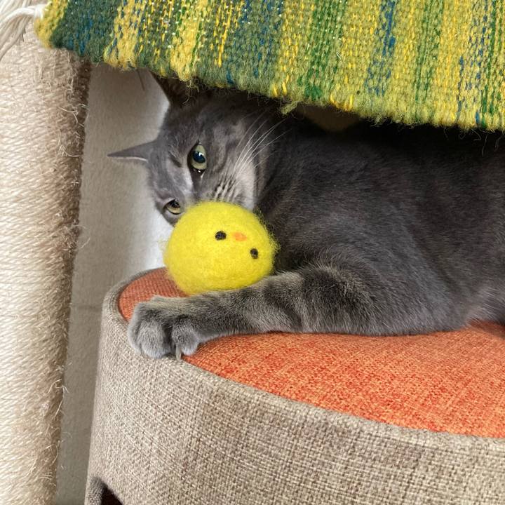 Cdf3afa8 983c 48d8 ab5a e8a19389b5fc 1647742356098