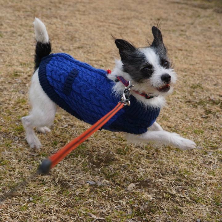 Cdf3b0ad bc9e 4dfd 812f 26fbb9d3753f 1548854494384