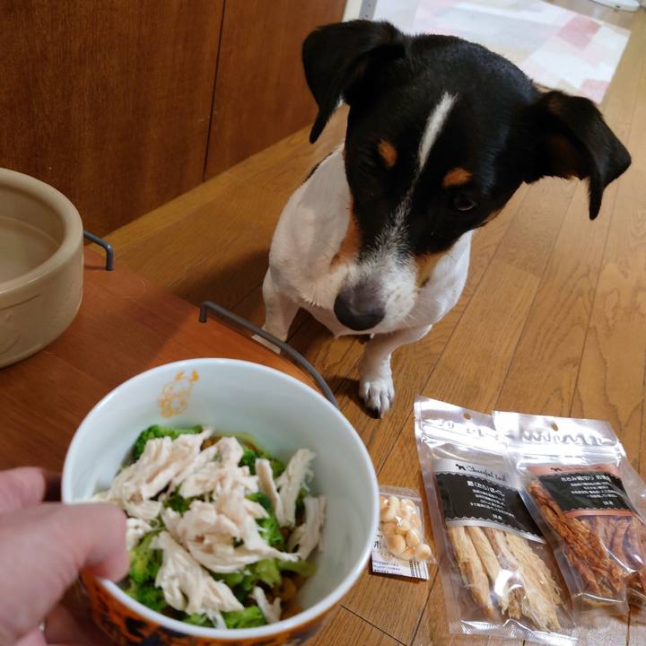 Cdf3b57b 9a3b 4741 bac2 daa47db5368a 1692184475265