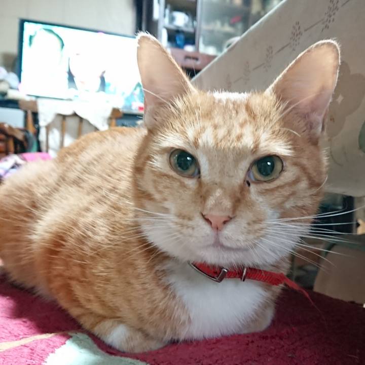 Cdf3bade 07dc 4df1 9f2d 980af569c9a7 1569978082118