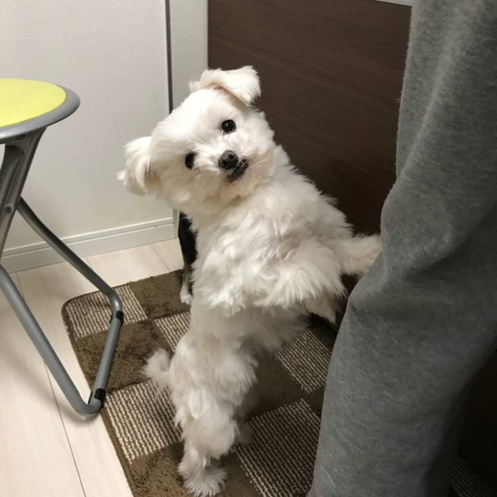 Cdf3f9b2 465c 4efc a36f b6051969996f 1515275495272