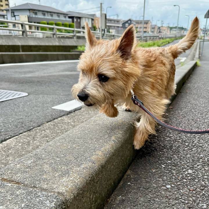 Cdf43ec3 f3ef 422d 84e8 d64a3a63e2e0 1717991059563