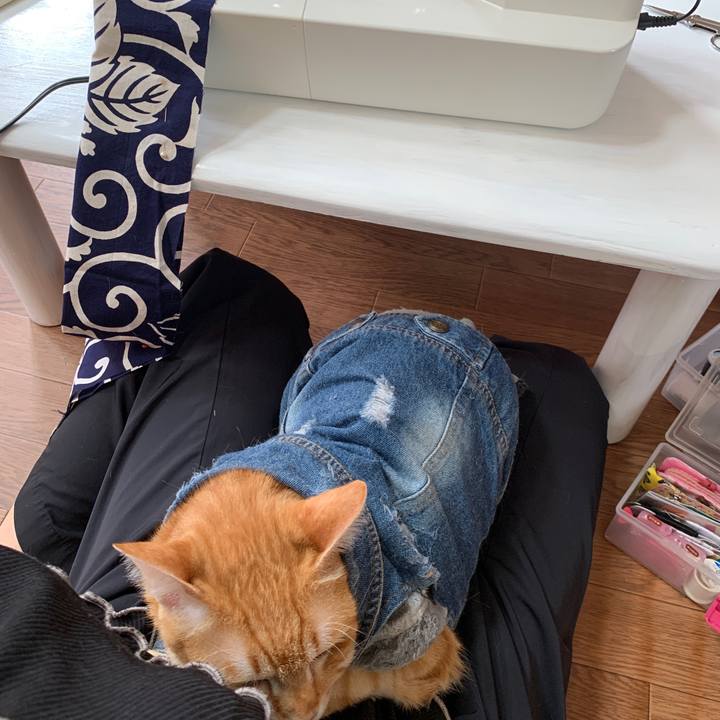 Cdf4677c 41c9 4dbb 8d81 6967091a2c2a 1656984783072