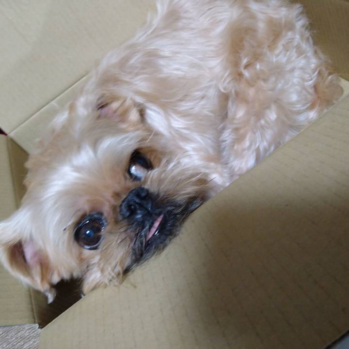 Cdf47f01 6edc 4133 964e b083a099d3d3 1654657366613