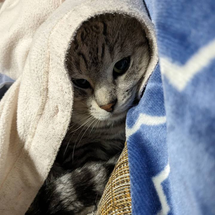 Cdf523bf 7d38 454f adf6 3c44c593f37e 1696518820384