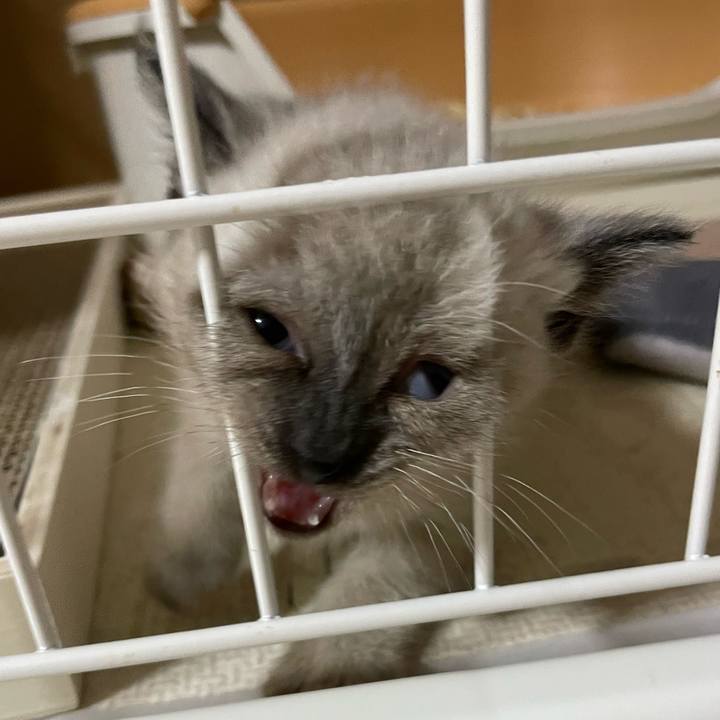 Cdf55031 053e 43f0 bf9b d622af24222c 1685303884509