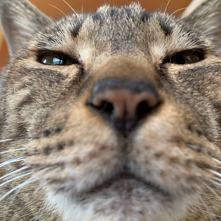 Cdf56722 f67d 4fcb a3f8 c40608e50f60 1556933785656