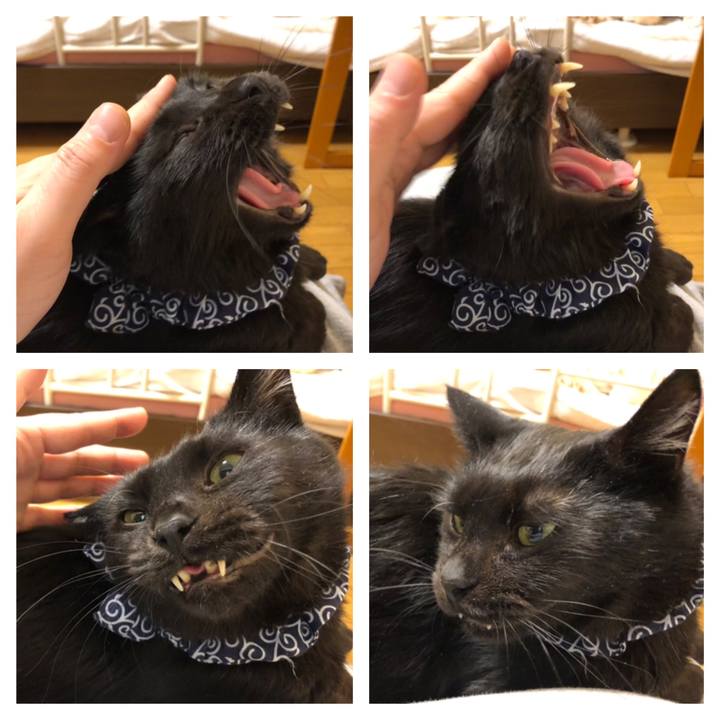 Cdf576c1 38c5 41e4 8a5e 4052cee135a2 1575731223161