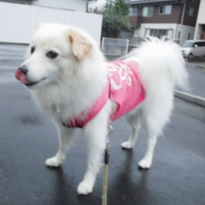 Cdf5a5a6 6f4f 4b6d 97f7 44cf450b7fdd 1508536765168