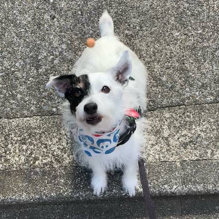 Cdf5caa5 ed67 4054 a4e9 098f7d038164 1756423554456