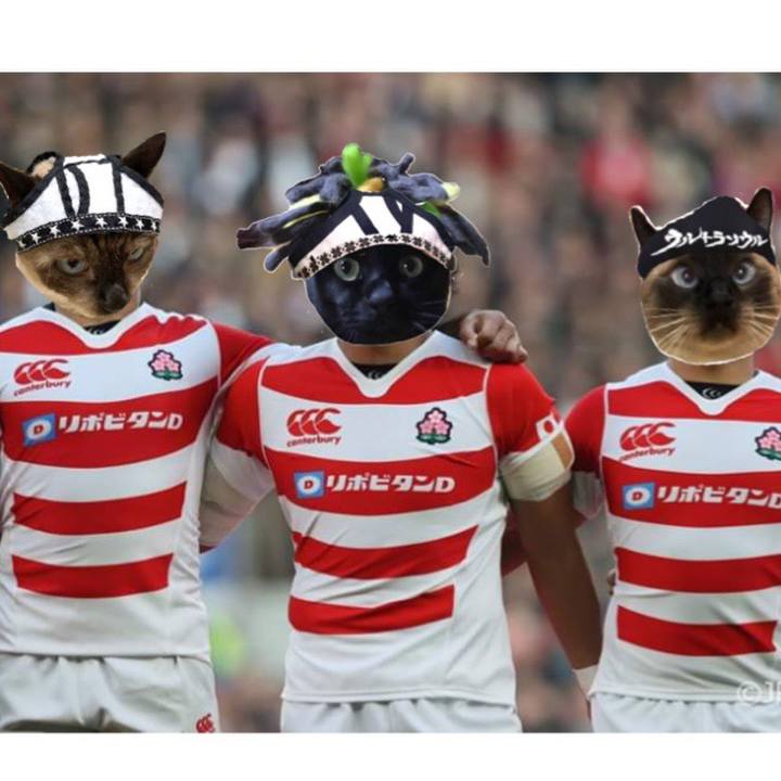 Cdf6023f ea9e 4c8c a4e4 86b43959bcd4 1571701634699