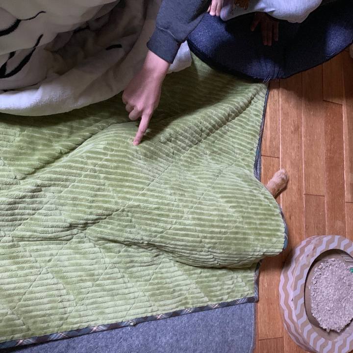 Cdf67230 b260 4688 8019 a42c0c4e5239 1555340292866