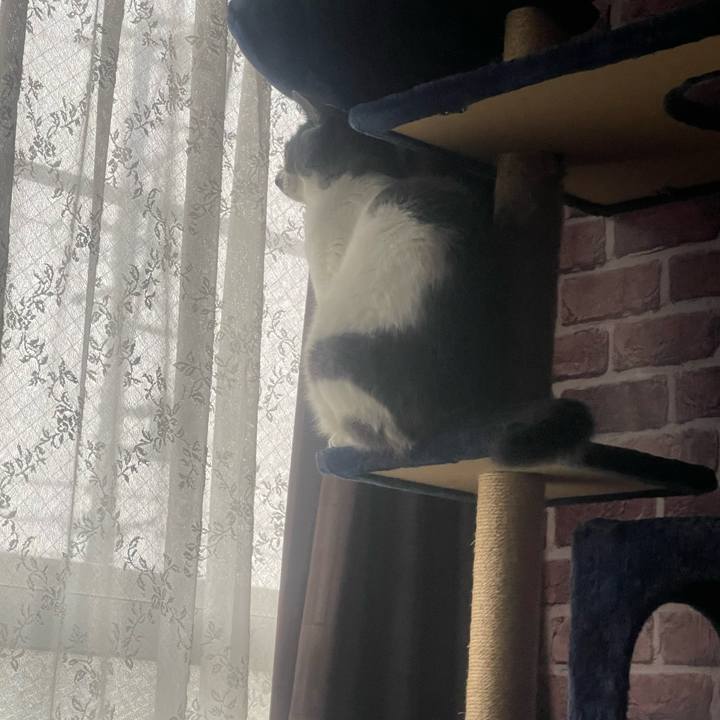 Cdf6b34a 8937 4163 a827 bad4680d48ab 1730521200345