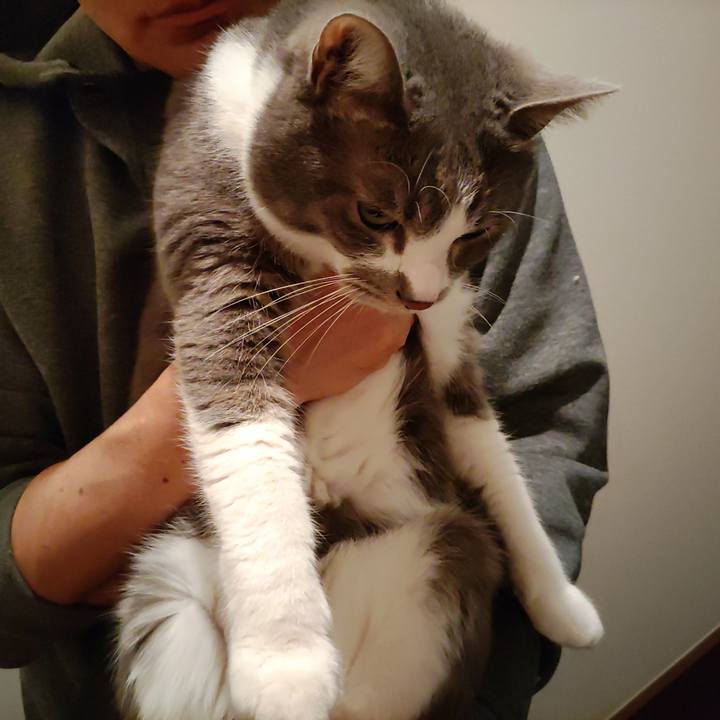 Cdf6bf0e 9ccf 4f8e aec9 cde6a63cb680 1713878350955