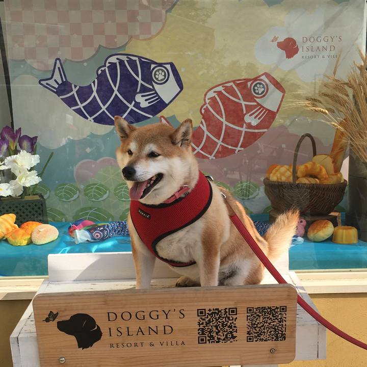 Cdf6d487 fd60 4f7f 8012 22a80fb2047e 1621770058943