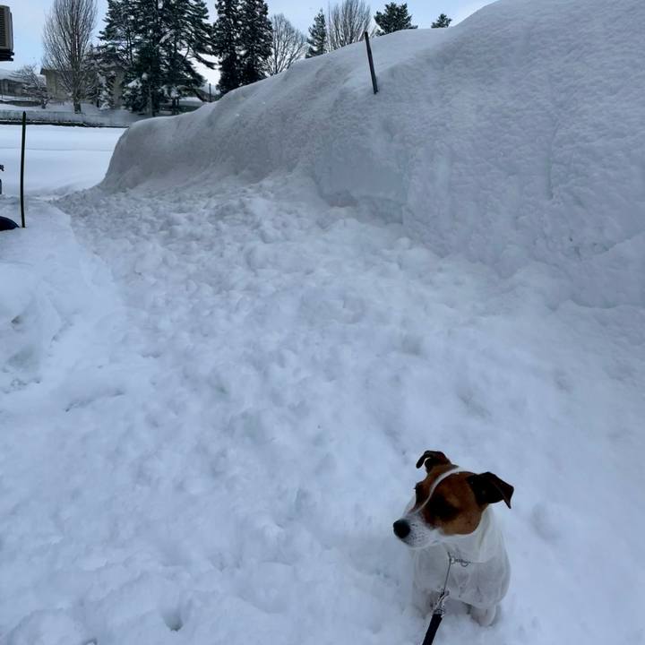 Cdf714f7 408a 4c26 805c 5585cd4f56d7 1641534864899