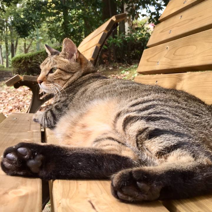 Cdf77124 b8e1 4a55 b41b 03d012f20224 1569748231719