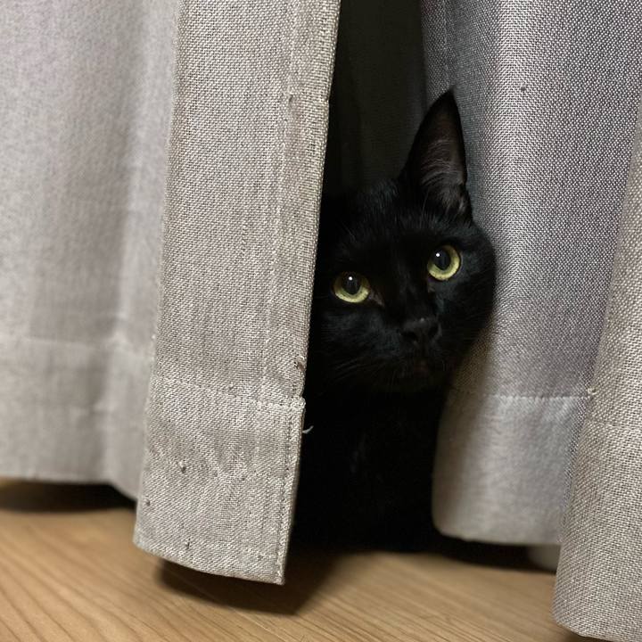 Cdf77345 2161 42c2 a052 2fae88a18a5d 1628165657715