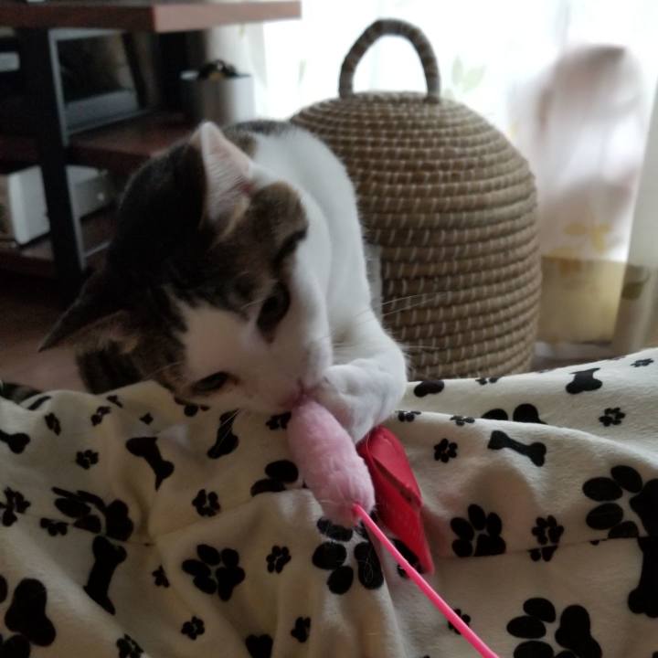 Cdf77a89 7fcb 4128 9da0 dc886f69e672 1552692127614