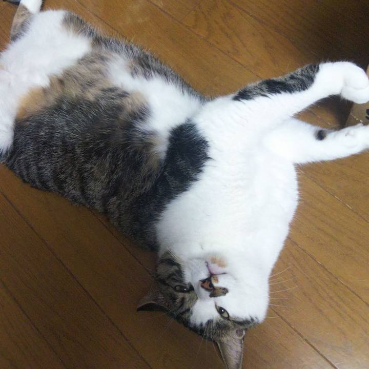 Cdf7a5a0 4003 4135 9d0d 78ecdeebe117 1657540099464