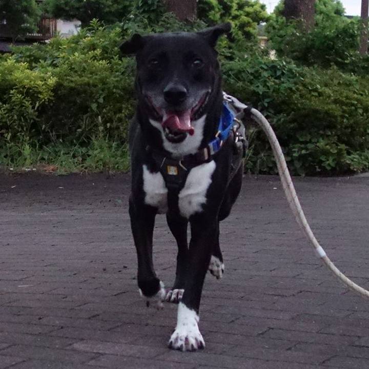 Cdf7f0b9 8279 4ed1 84c8 477748a7e8e4 1658573778758