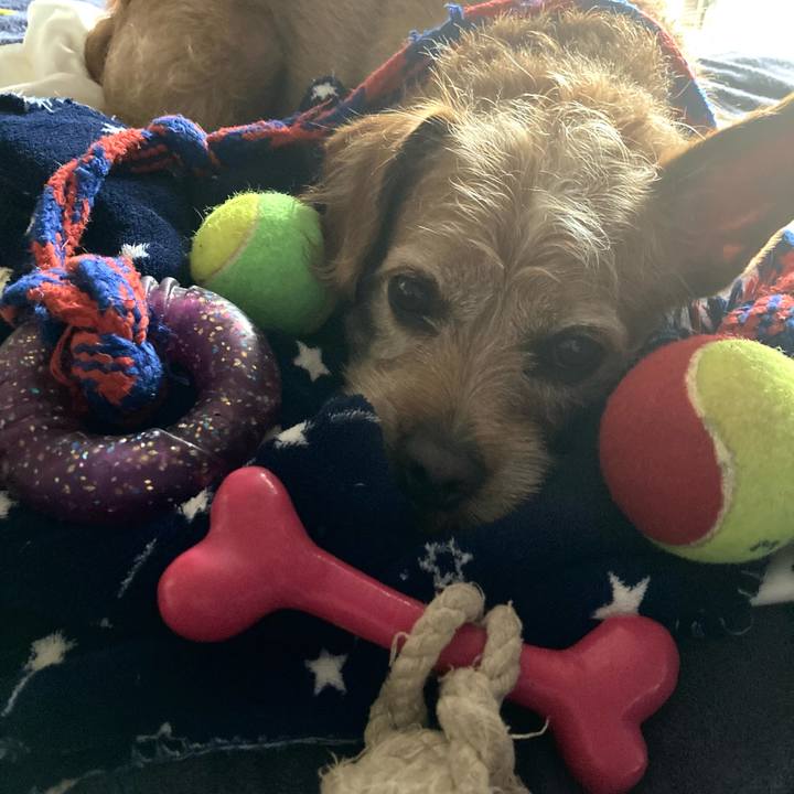 Cdf84148 543b 4751 ad0b bc1d552acf66 1661472216574