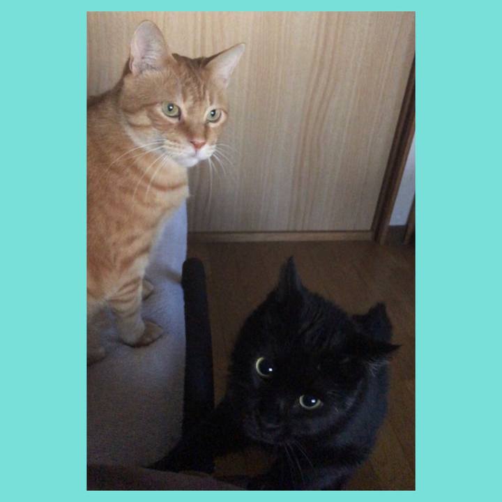 Cdf856d3 7668 4fb3 a163 6b0dcd3204d3 1605562308470